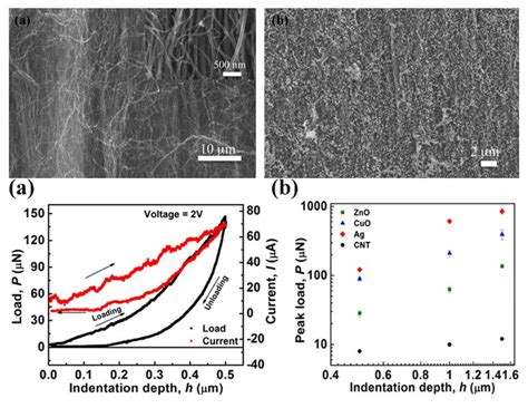 Prof.Abha Misra – Instrumentation and Applied Physics, IISc Bangalore