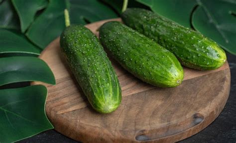 Top 15 Fat-Burning Foods for Weight Loss & Boost Metabolism – thegoodbug