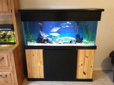 What Can Live In A 55 Gallon Tank at Isabella Jolly blog