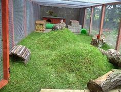 Image result for Rabbit Sanctuary
