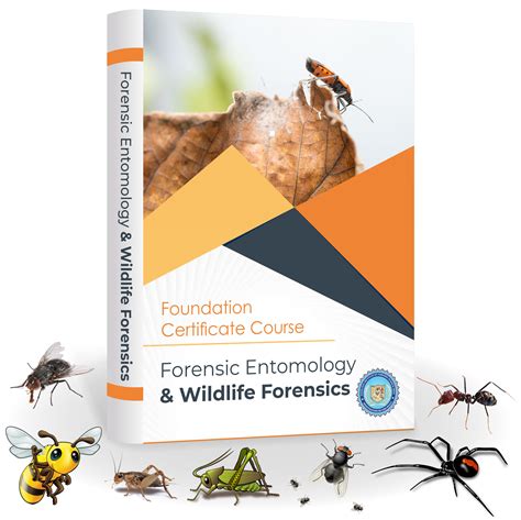 Forensic Entomology and Wildlife Forensics | Online Course