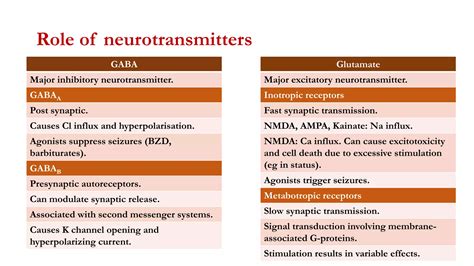 Basic mechanism of epilepsy | PPTX