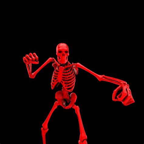 Image result for Daggerfall Skeleton GIF
