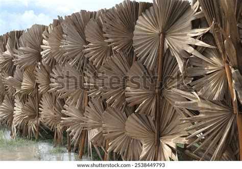 Image result for Merge Sort Recursive Tree