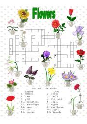 Crossword Showy Flower | Best Flower Site