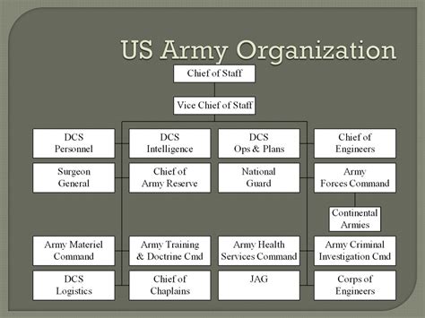 U.s. Army Structure