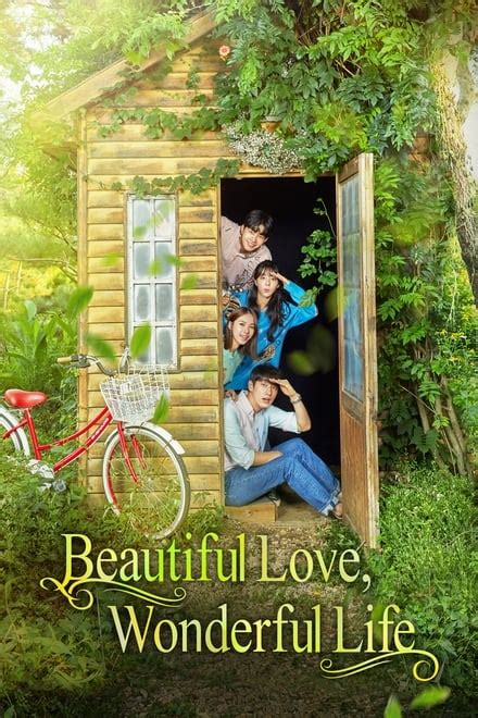 Beautiful Love, Wonderful Life (TV Series 2019-2020) — The Movie ...