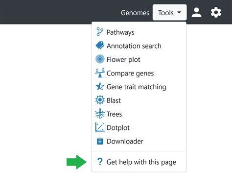 Moreover, many tools can be configured using the settings sidebar. Just click on the settings ...
