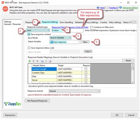 Image result for SSIS REST API Example