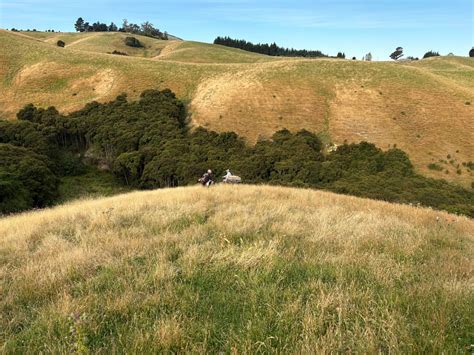 The Brighton Trail Ride 2026, Scroggs hill road, Dunedin, New Zealand ...