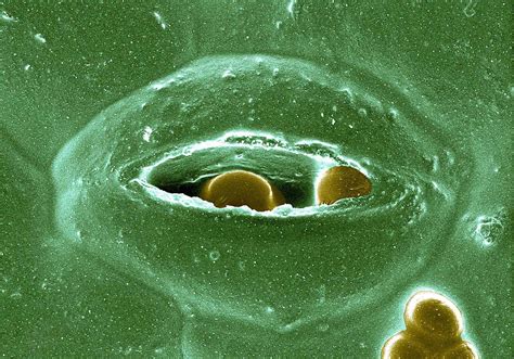 27 Facts About Teaching - Facts.net