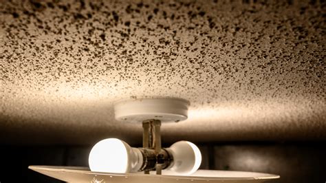 How To Clean Dust And Dirt Off Of Popcorn Ceilings