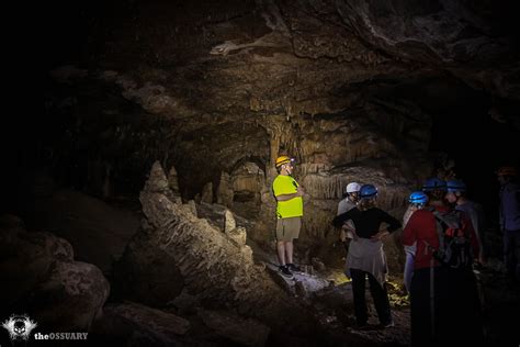 Image result for Kickapoo Cavern State Park Kickapoo Cavern Tours