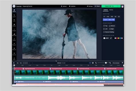 Image result for Image Overlay Video Editor