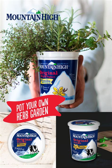 Pot Your Own Herb Garden | Mountain High Yoghurt | Herb garden pots ...