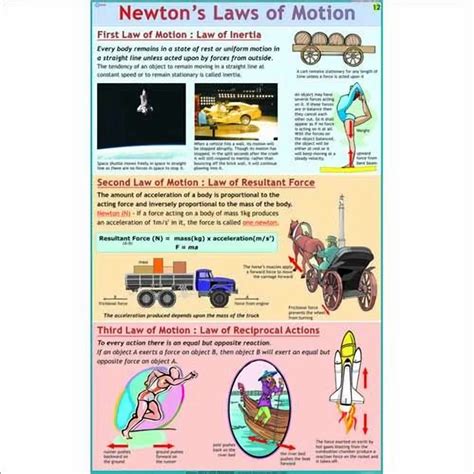Physics Newton 的图像结果