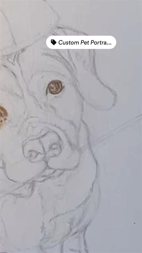 Image result for Tutorial Draw Dog