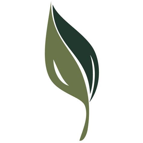 Gesche Funeral Home & Cremation Service