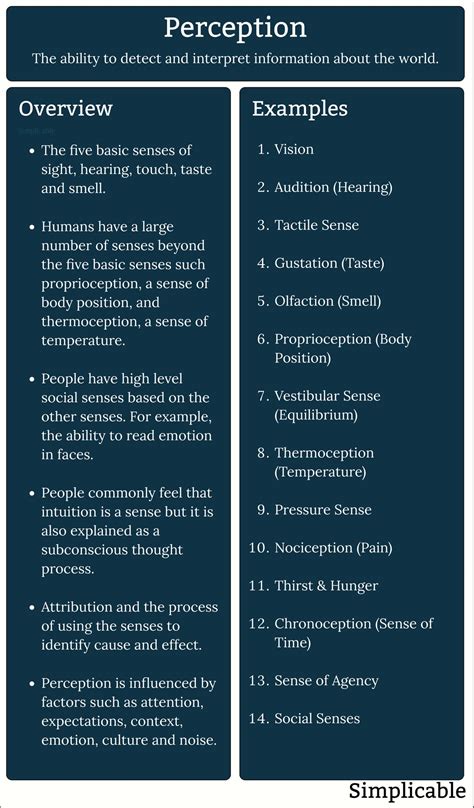 Image result for Different Kinds of Perception