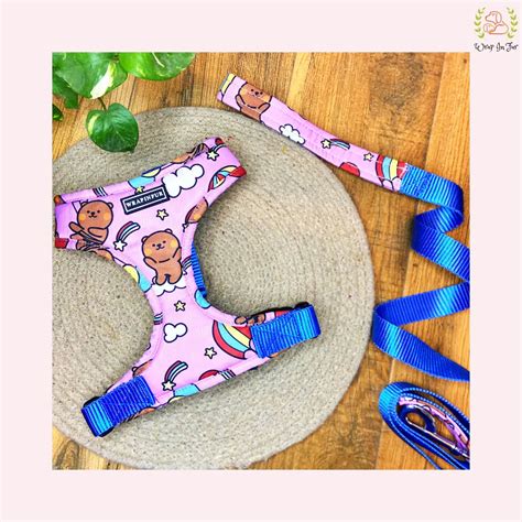 This Pink Teddy Dog Harness is Too Cute to Ignore – Wrapinfur