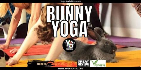 Bunny Yoga at Great Divide - Barrel Room in RiNo Arts District, Great ...