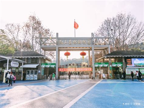 南京红山动物园 - 知乎