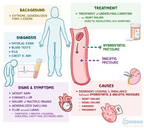Lower Extremity Edema Ncbi at Carroll Zabala blog