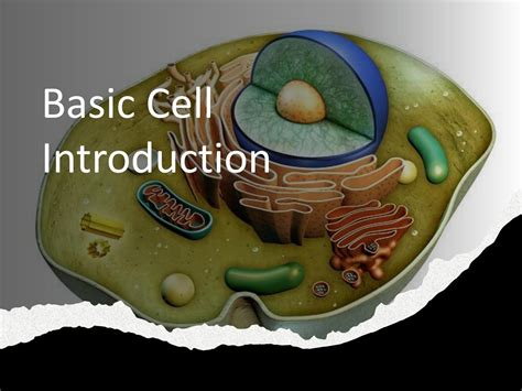 Image result for Cell Basic