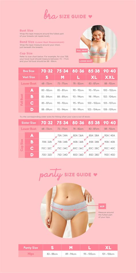 34b Bra Size In Inches