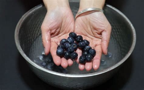 蓝莓不要只用清水洗，这样洗才干净不失营养，快告诉家人_哔哩哔哩 (゜-゜)つロ 干杯~-bilibili