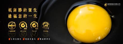 黄孝蛋品logo-武汉品牌设计-农产品 / 食品包装设计-武汉信立浩达文化传媒有限公司