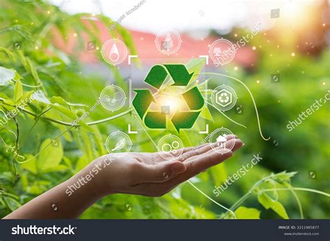 Conservation Of Natural Resources Project