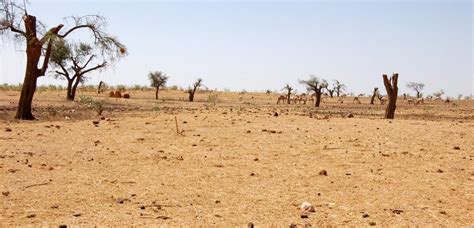 $6.4 billion spent to combat desertification in last 2 years: Report