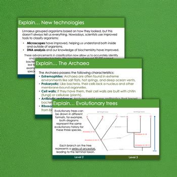 Image result for Classification GCSE Domain