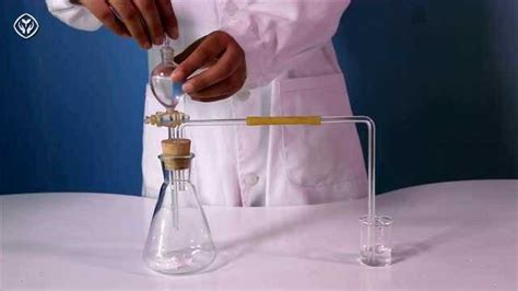 演示实验110102碳酸钠碳酸氢钠与盐酸的反应