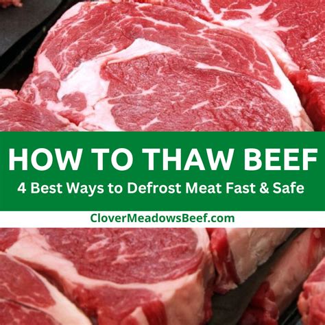 How To Defrost Beer Fast at Lawrence Henry blog