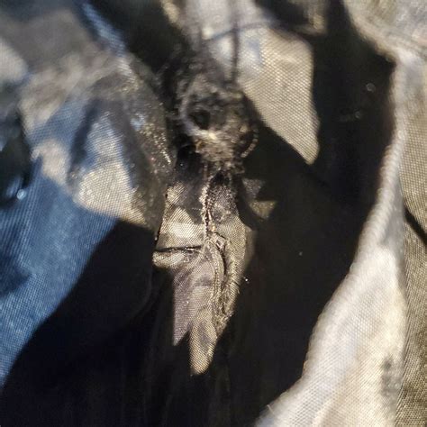 Marvel Spider-Man Black Fanny Pack Waist Bag | Ubuy India