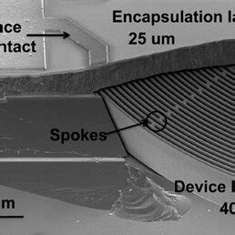 Image result for Basic 2D DRG