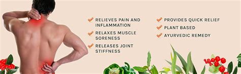 India Hemp Organics Pain Relief Roll-On 10ml | Instant Relief for Back ...