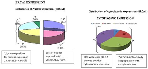 Immunohistochemical expression of ER, PR, HER2, Ki67, CK5/6 and BRCA1 ...