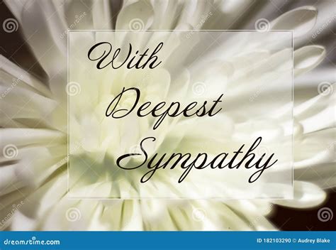 With Deepest Sympathy stock photo. Image of flower, poster - 182103290