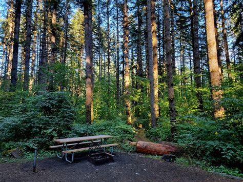 Capitol State Forest - Fall Creek Campground and Trailhead | Experience ...