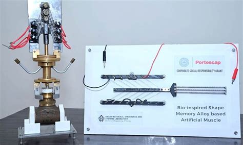 Image result for Artificial Muscle Based Robots