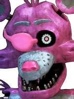 Image result for What Is Spring Foxy Main Colors