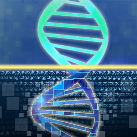 Image result for DNA Sequencing