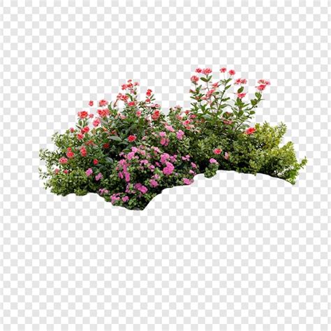 Image result for Spring Flower PSD