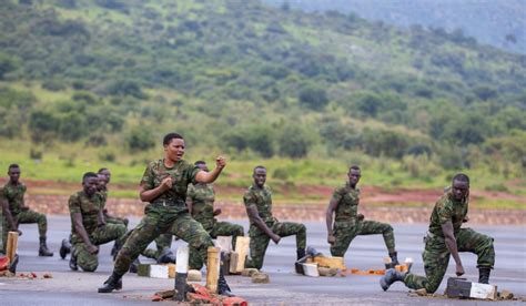 RDF Training Exercise 的图像结果