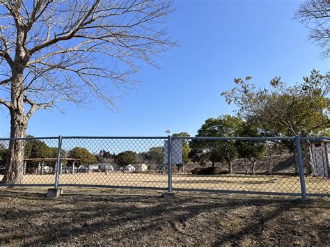 Image result for Paper Bride Backgroud