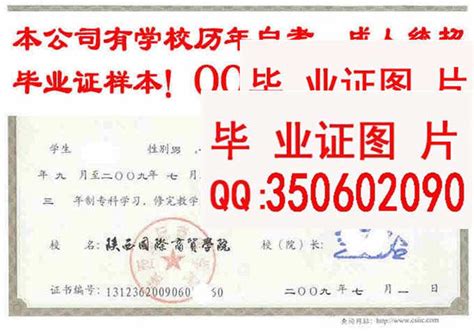 陕西国际商贸学院毕业证档案样本学位证样本