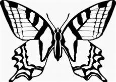 schmetterlinge malvorlagen zum ausdrucken schmetterling malvorlagen schmetterlinge malvorlagen zum ausdrucken schmetterling malvorlagen